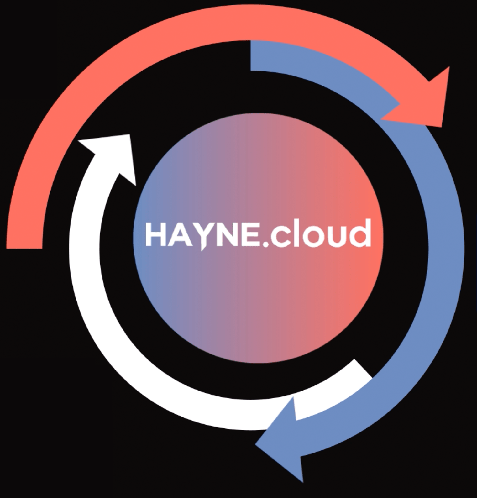 HAYNE.cloud process cycle logo