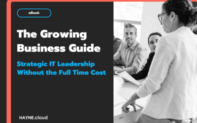HAYNE.cloud - Ebook - The Gorwing Business Guide to strategic IT leadership without the full time cost